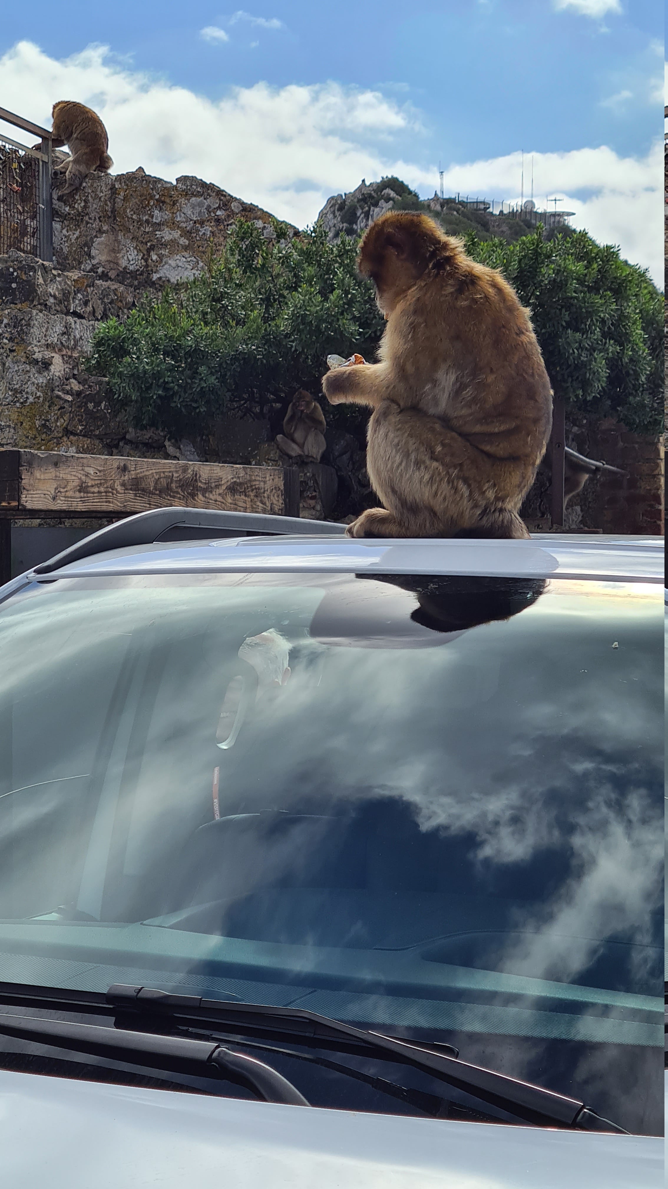 Kostenlose Taxifahrt mit Verpflegung